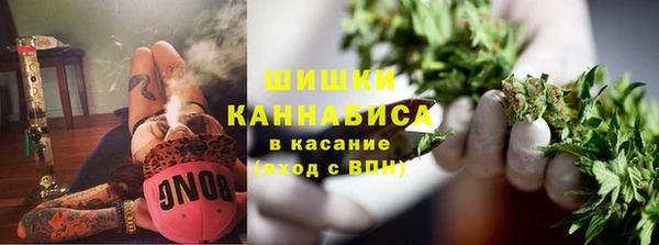 молекула духа Пестово