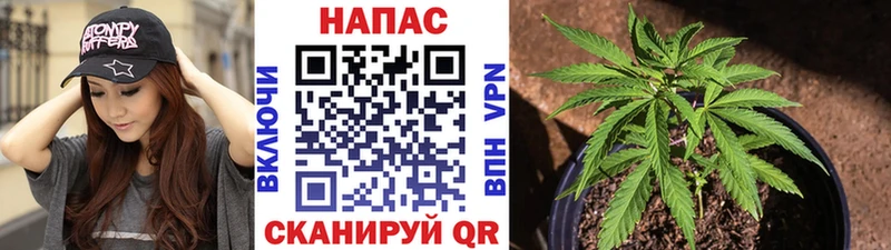продажа наркотиков  Собинка  Каннабис White Widow 